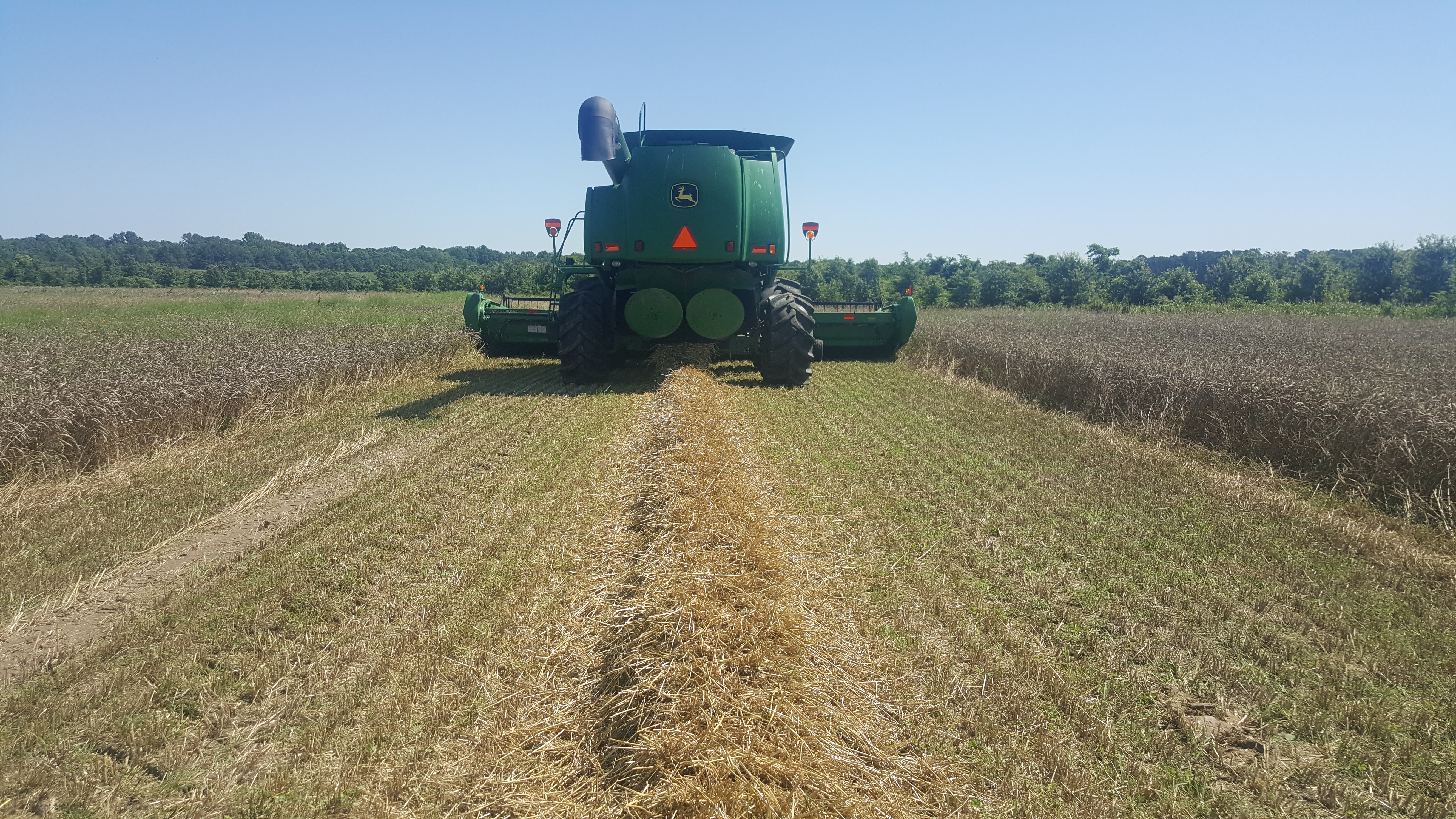 Transforming the Combine From a Weed Seed Spreader to a Weed Seed Predator  